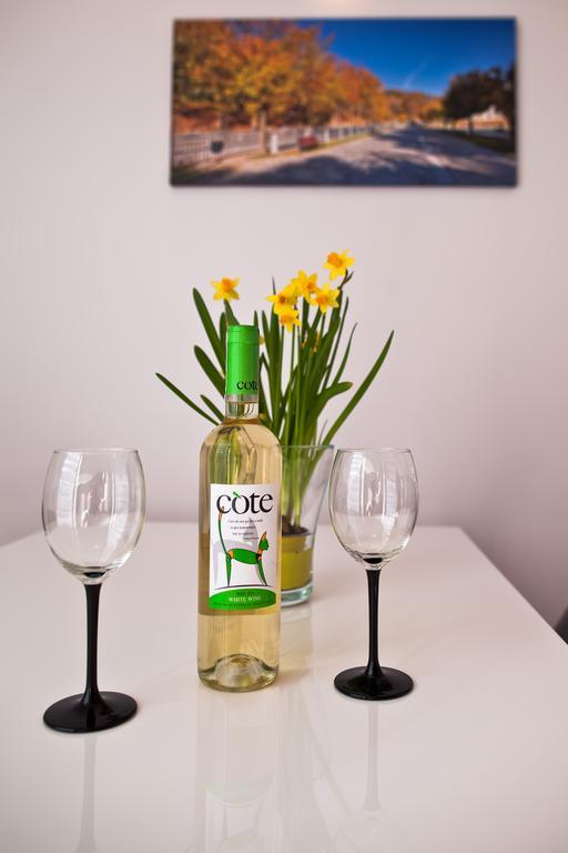 Apartament City Center Platinum Krynica Zdroj Bagian luar foto